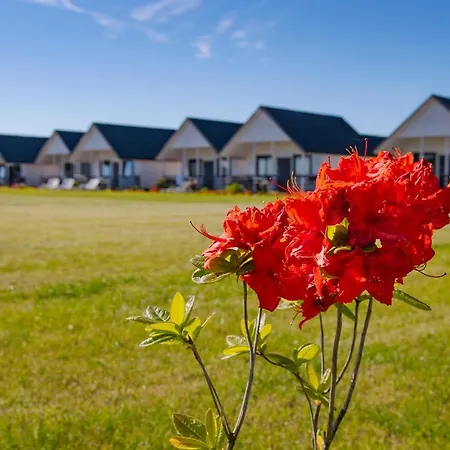 Letniskowe Biala Perla *